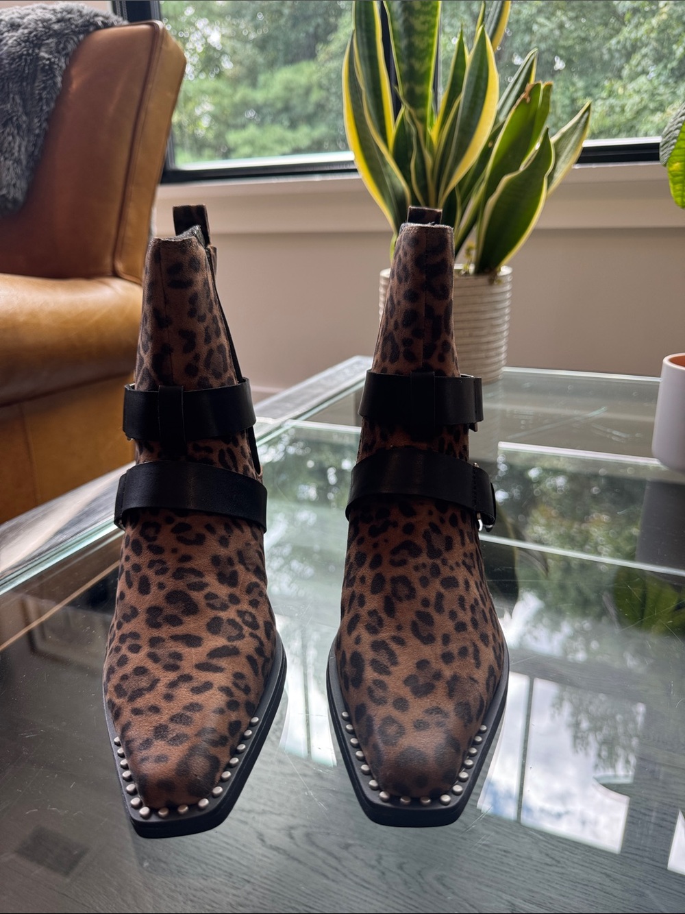 Ash Leopard Print leather Ankle Boots with Black Straps - Women